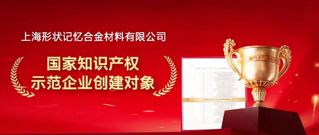 “国字号”荣誉！乐普心泰入选“国家知识产权示范企业创建对象”